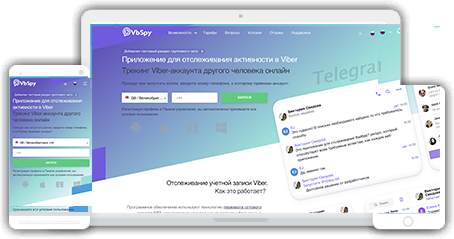 О нас VbSpy